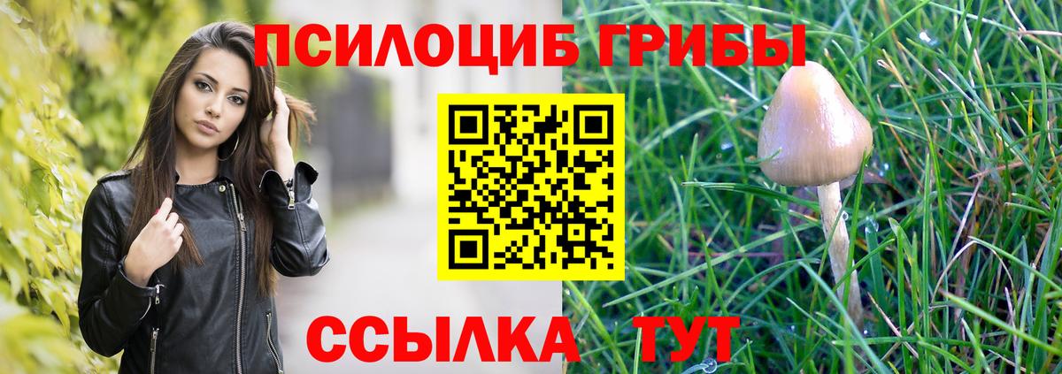 ГАШ  Каннабис  ТГК  Кокаин  Псков  Меф кристаллы  Вход с VPN 