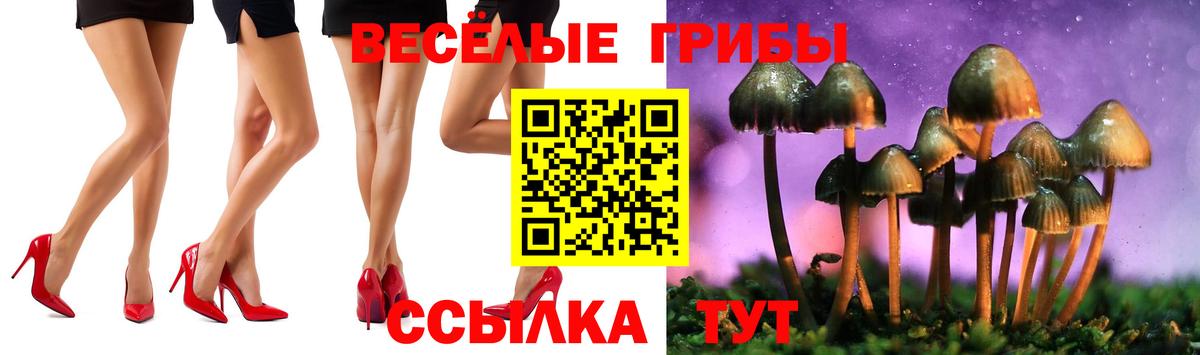 Псилоцибиновые грибы прущие грибы Псков